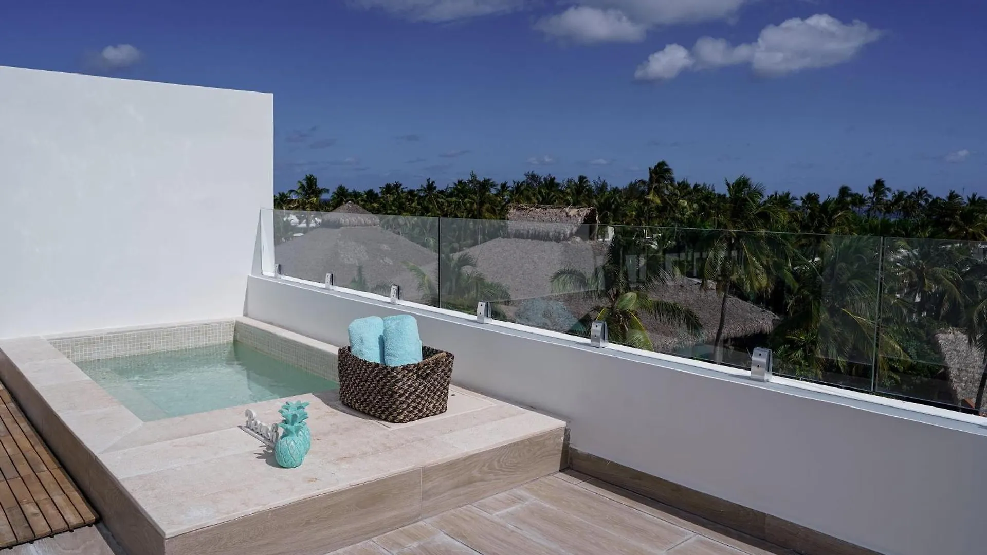 Appartement Fantastic New Penthouse W Rooftop Picuzzi Punta Cana